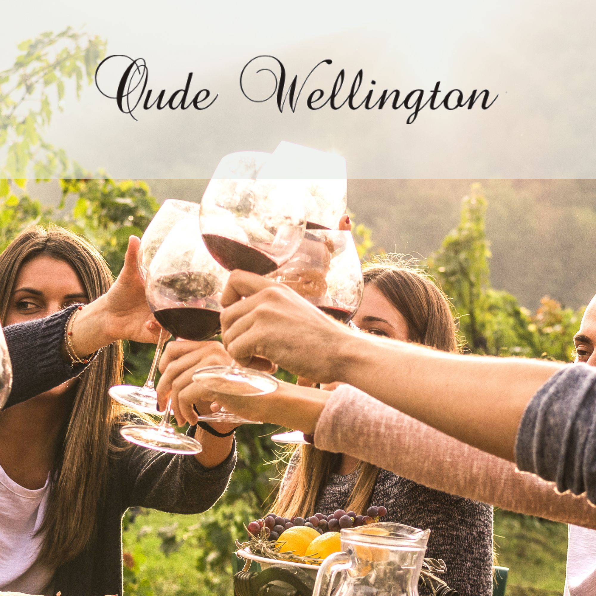 Oude Wellington
