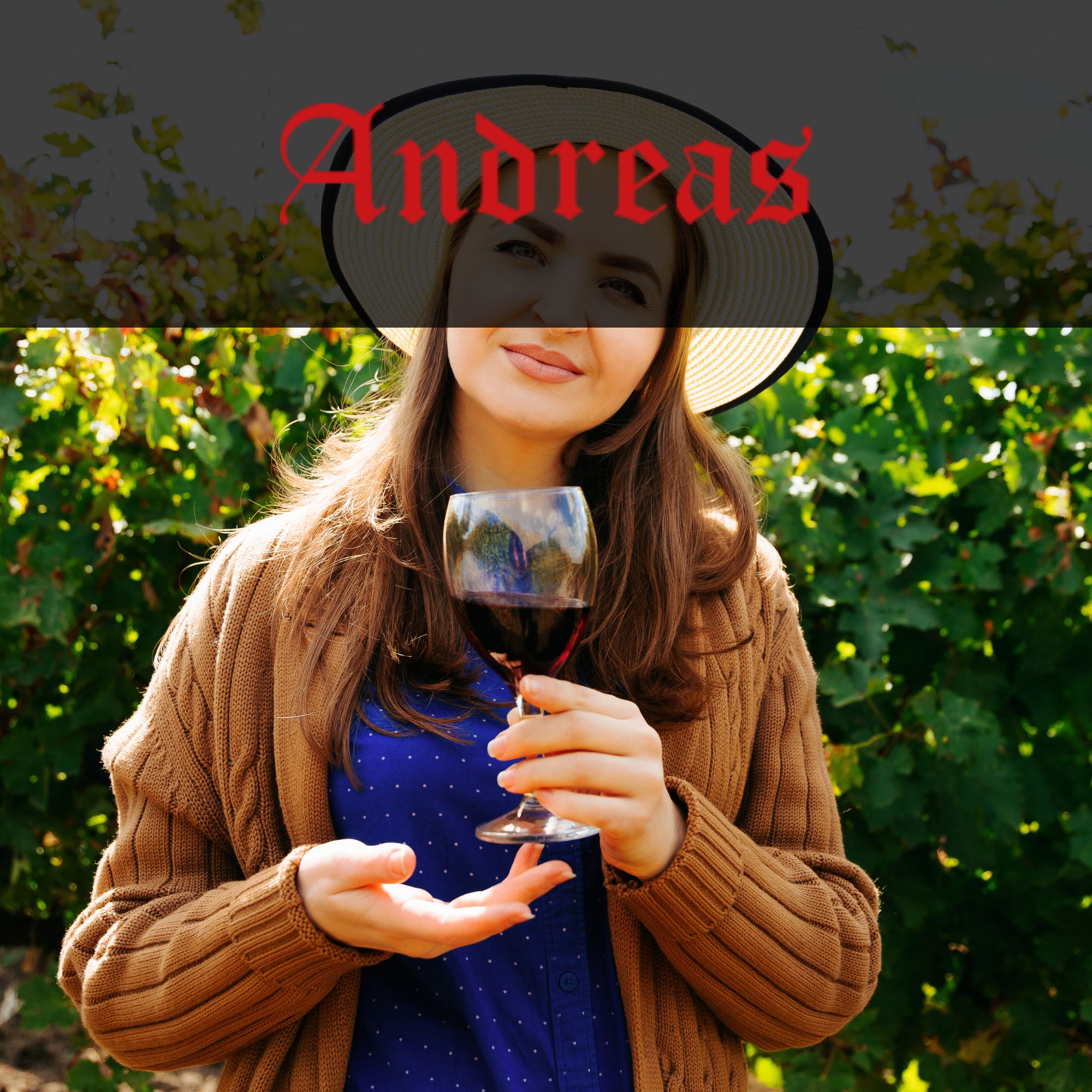 Andreas Wines