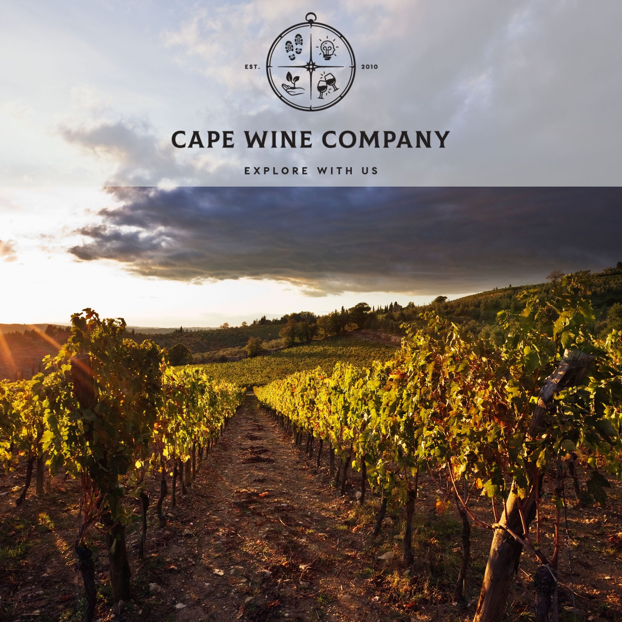 Cape Wine Company