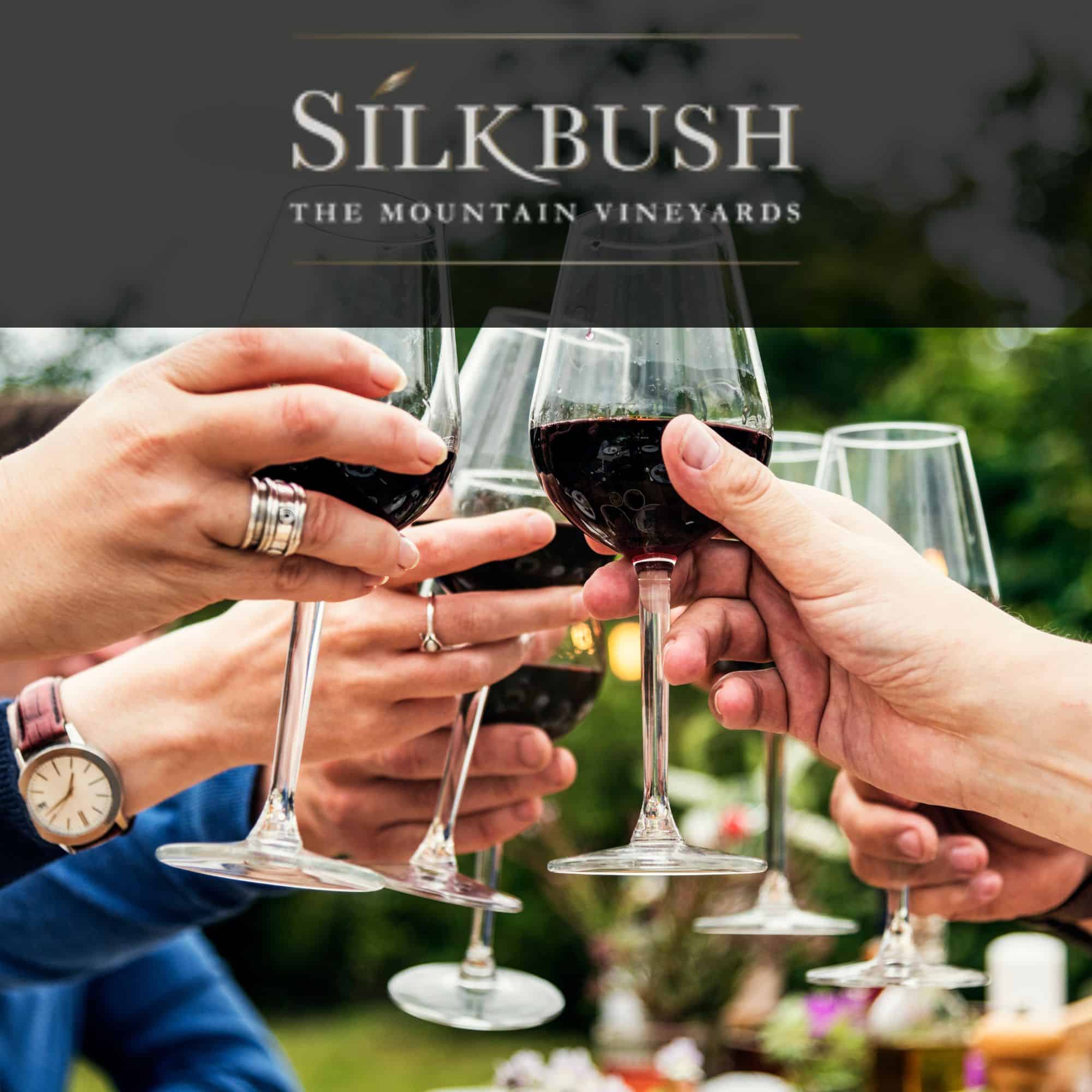 Silkbush Mountain Vineyard