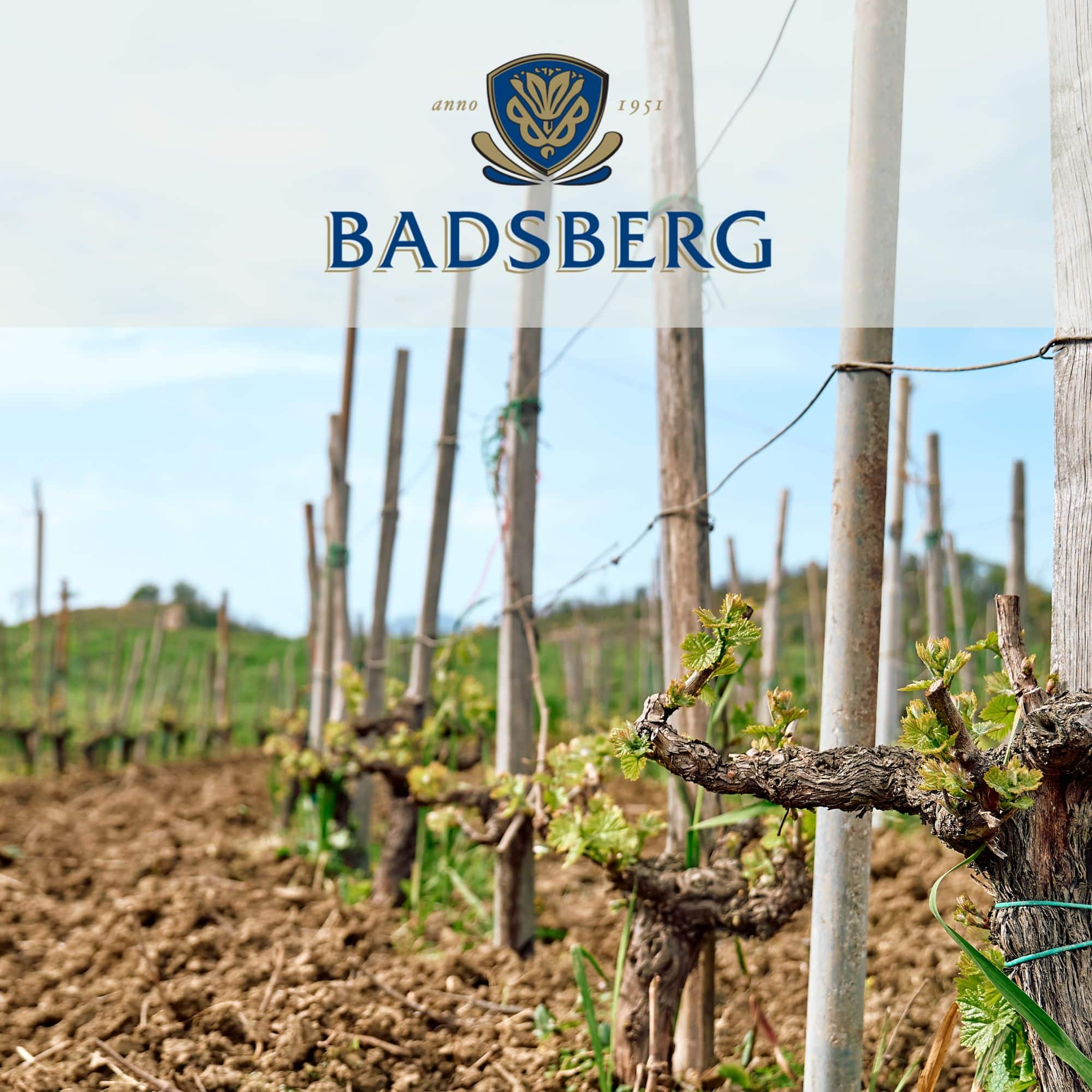 Badsberg Wine Cellar