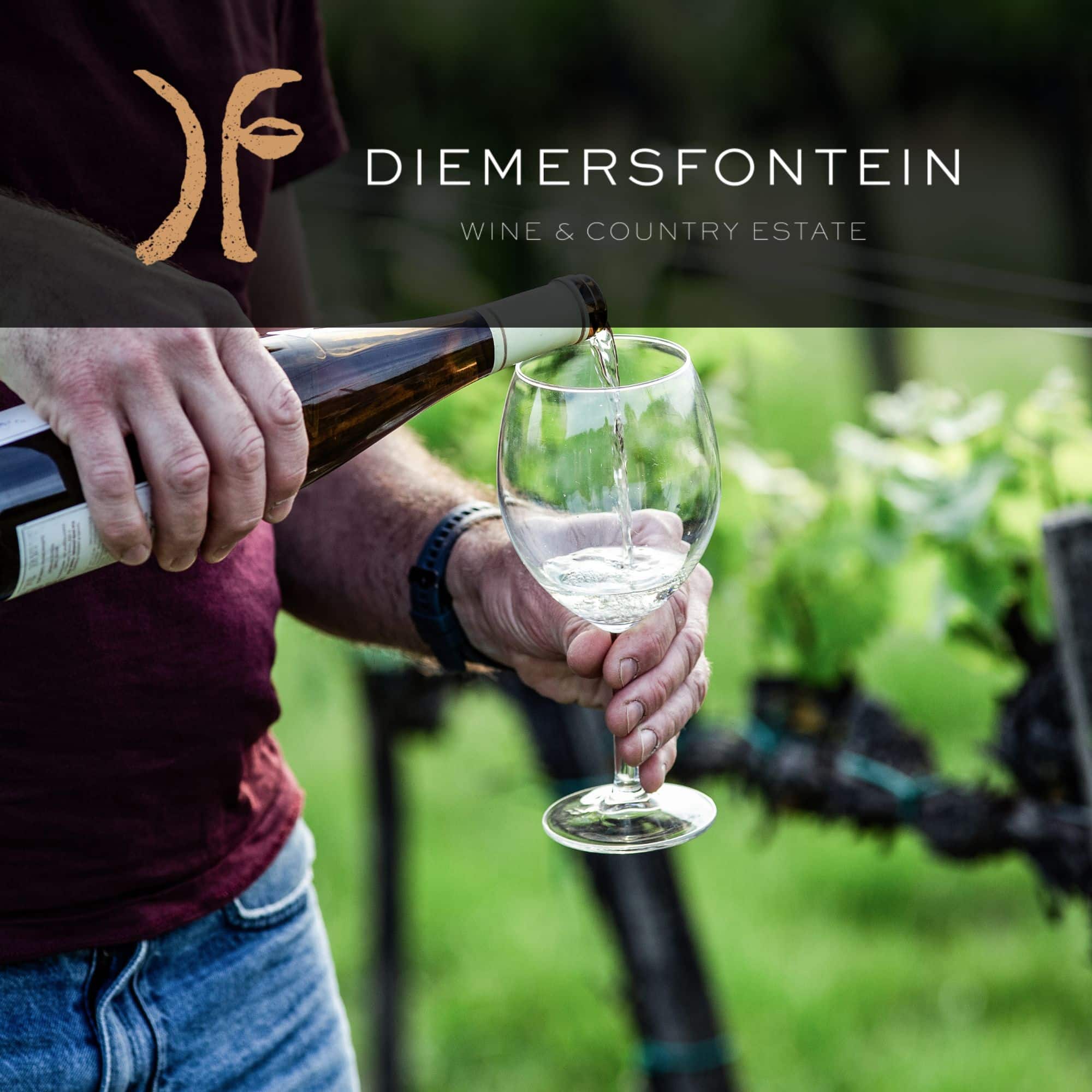 Diemersfontein Wine & Country Estate
