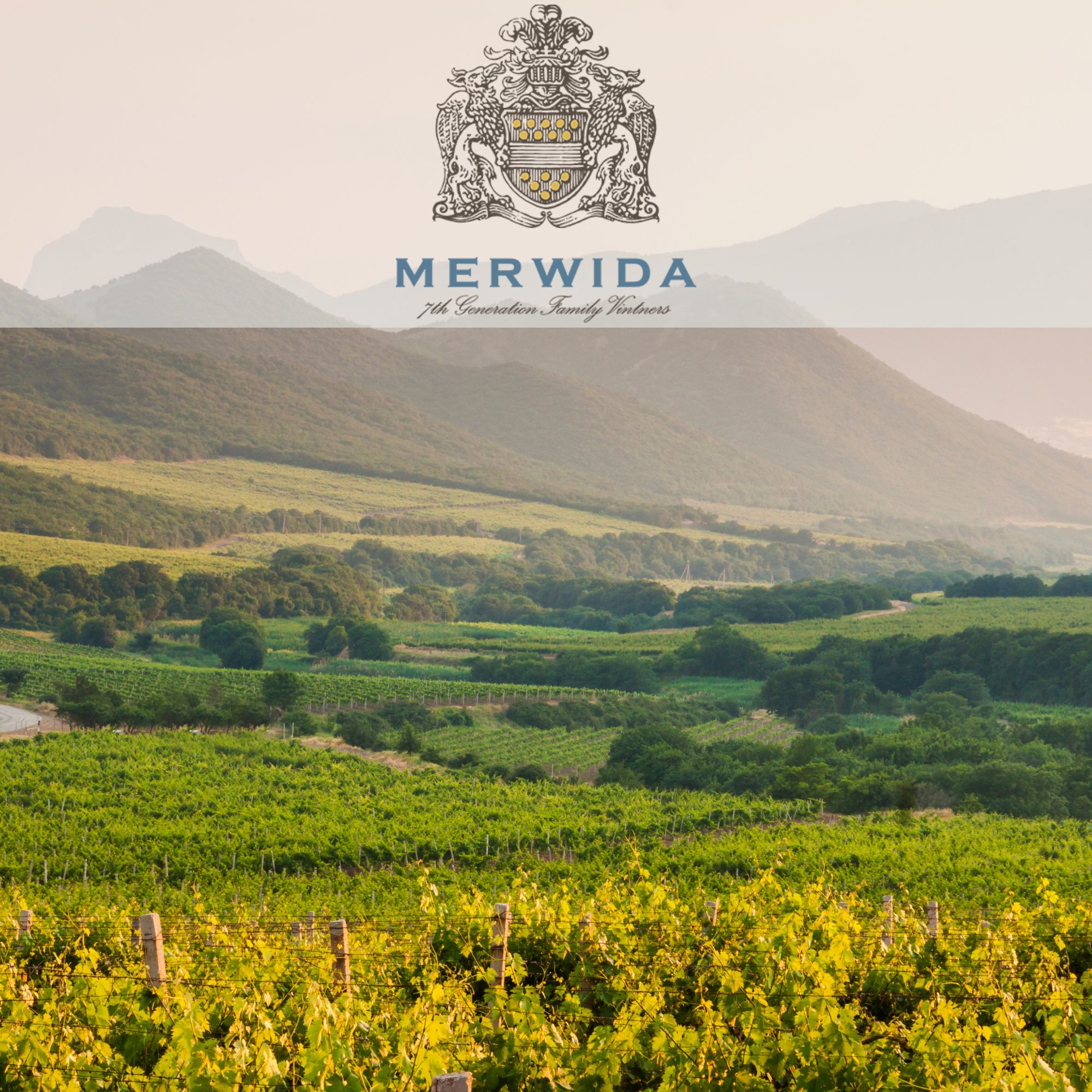 Merwida Wine Cellar