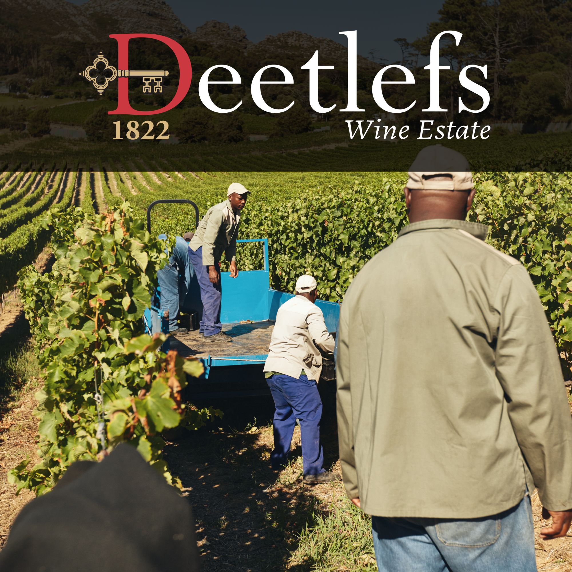Deetlefs Wines