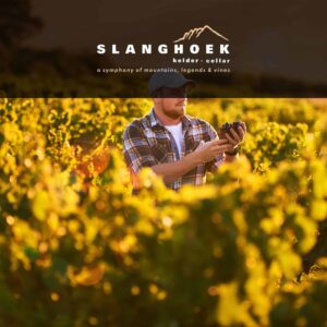 Slanghoek Cellar