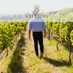 Villion Family Wines
