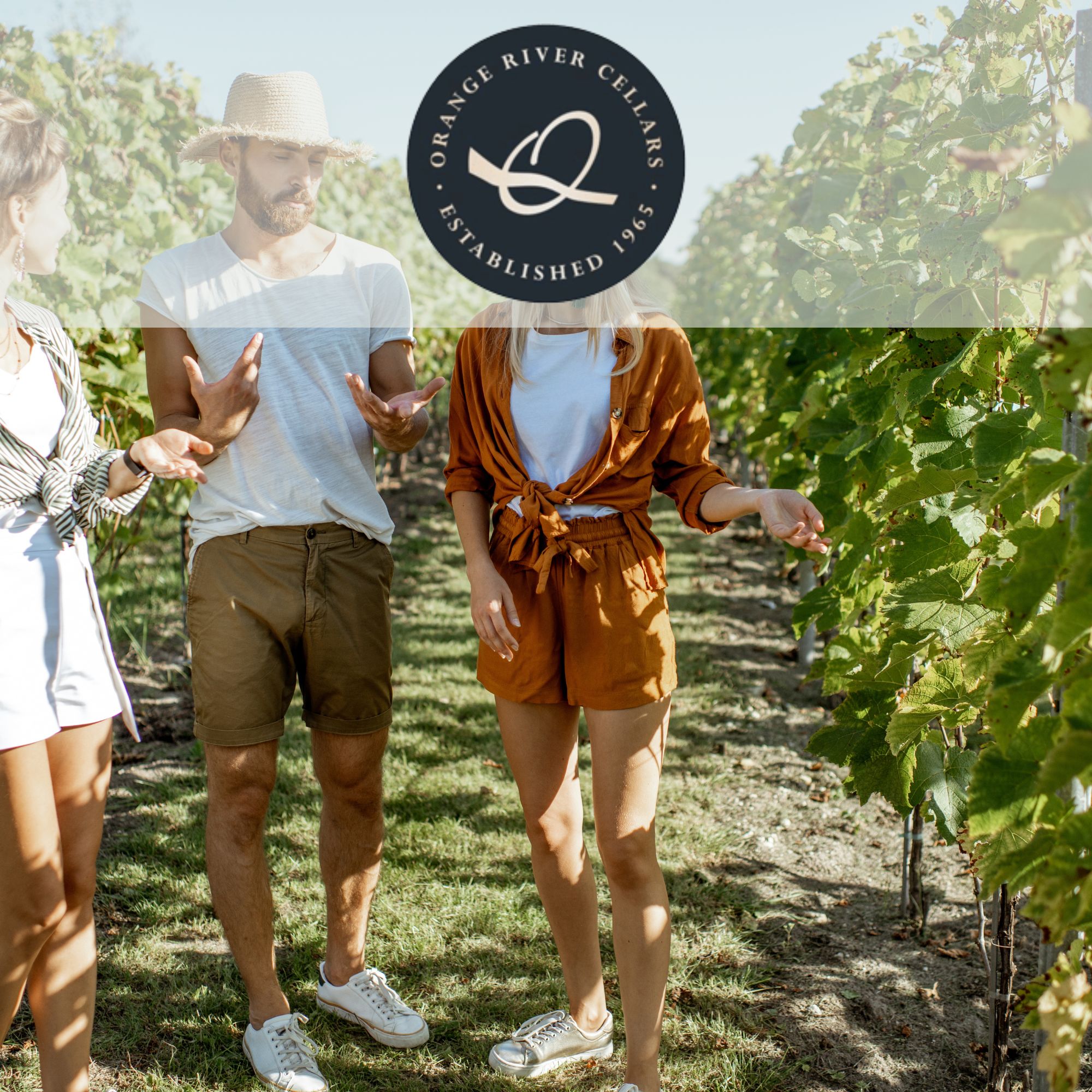Orange River Cellars