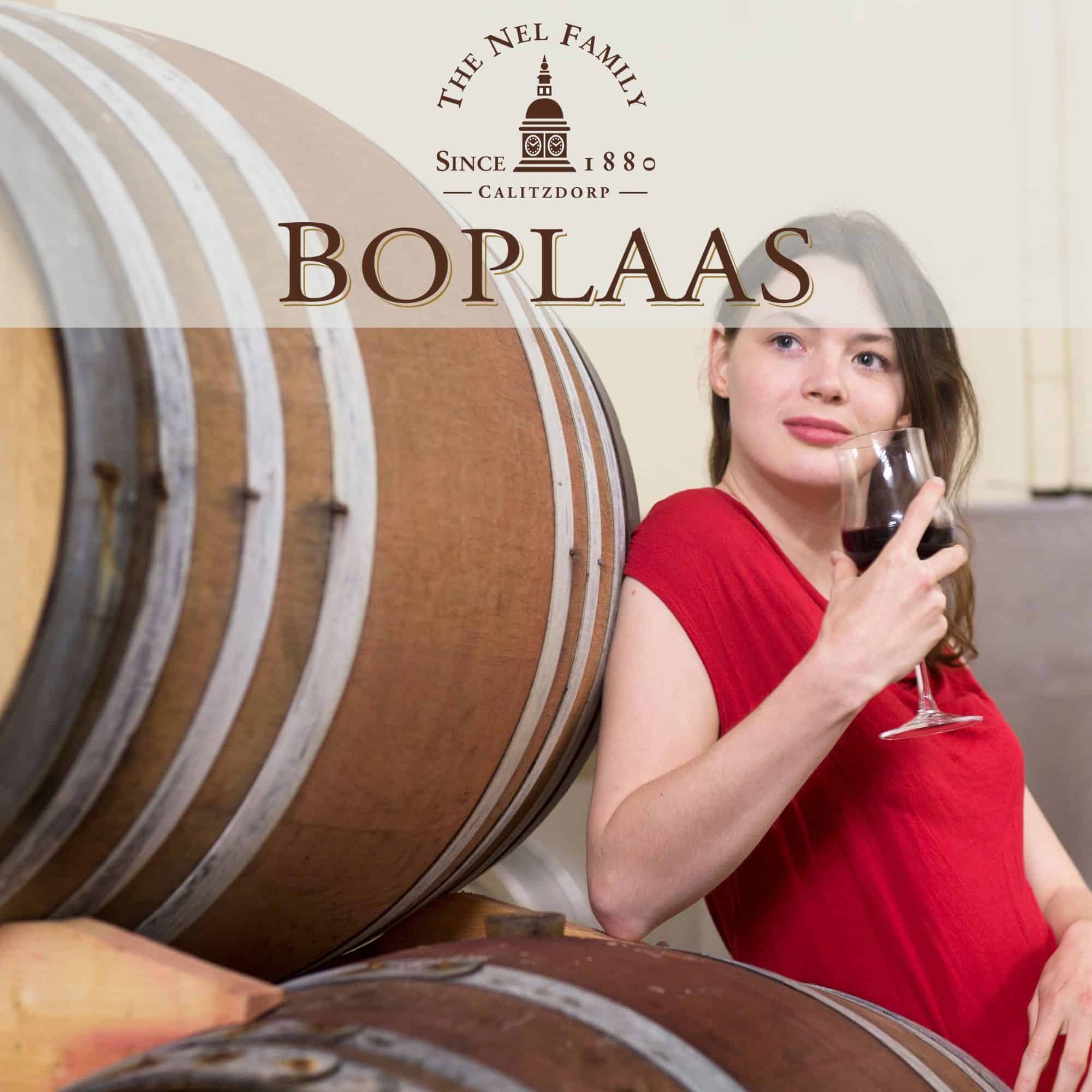 Boplaas Family Vineyards