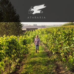 Ataraxia Wines