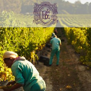 Bartho Eksteen Wine Estate