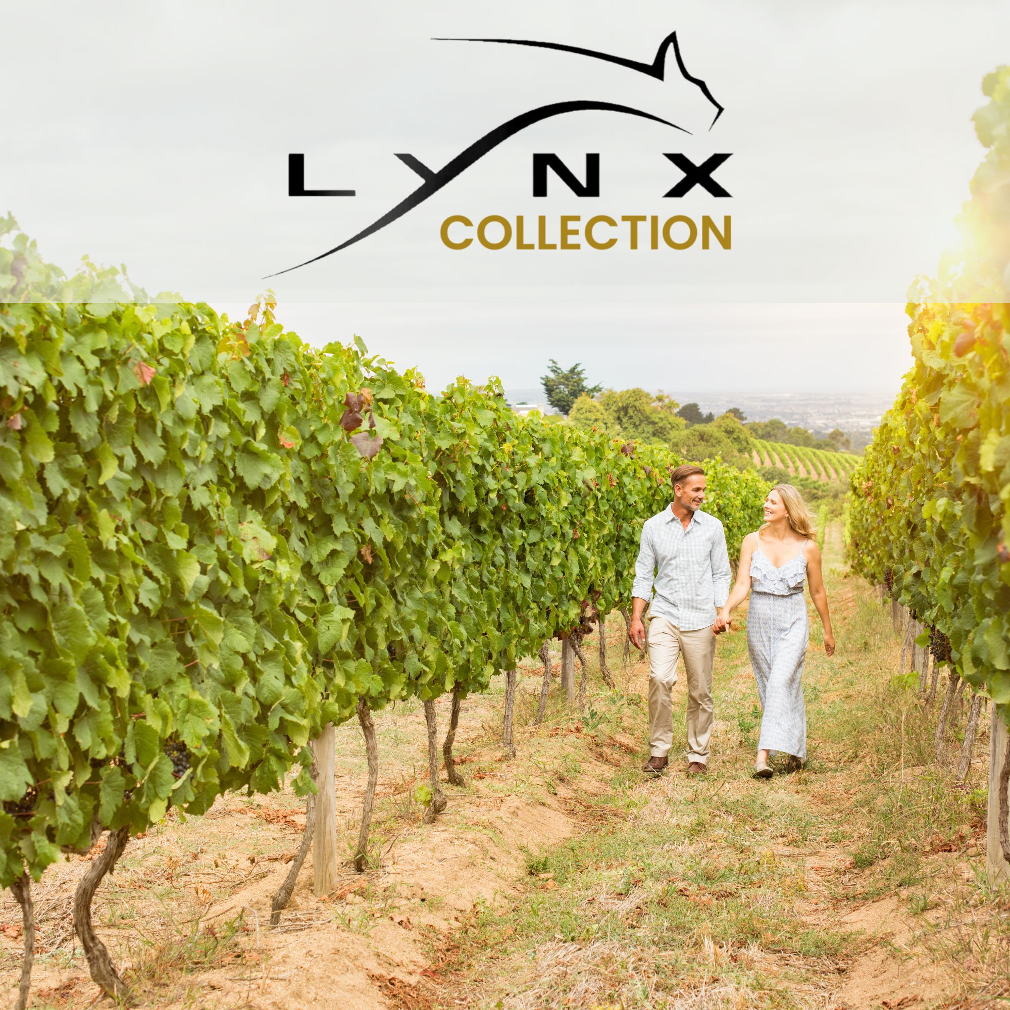 Lynx Wine Estate