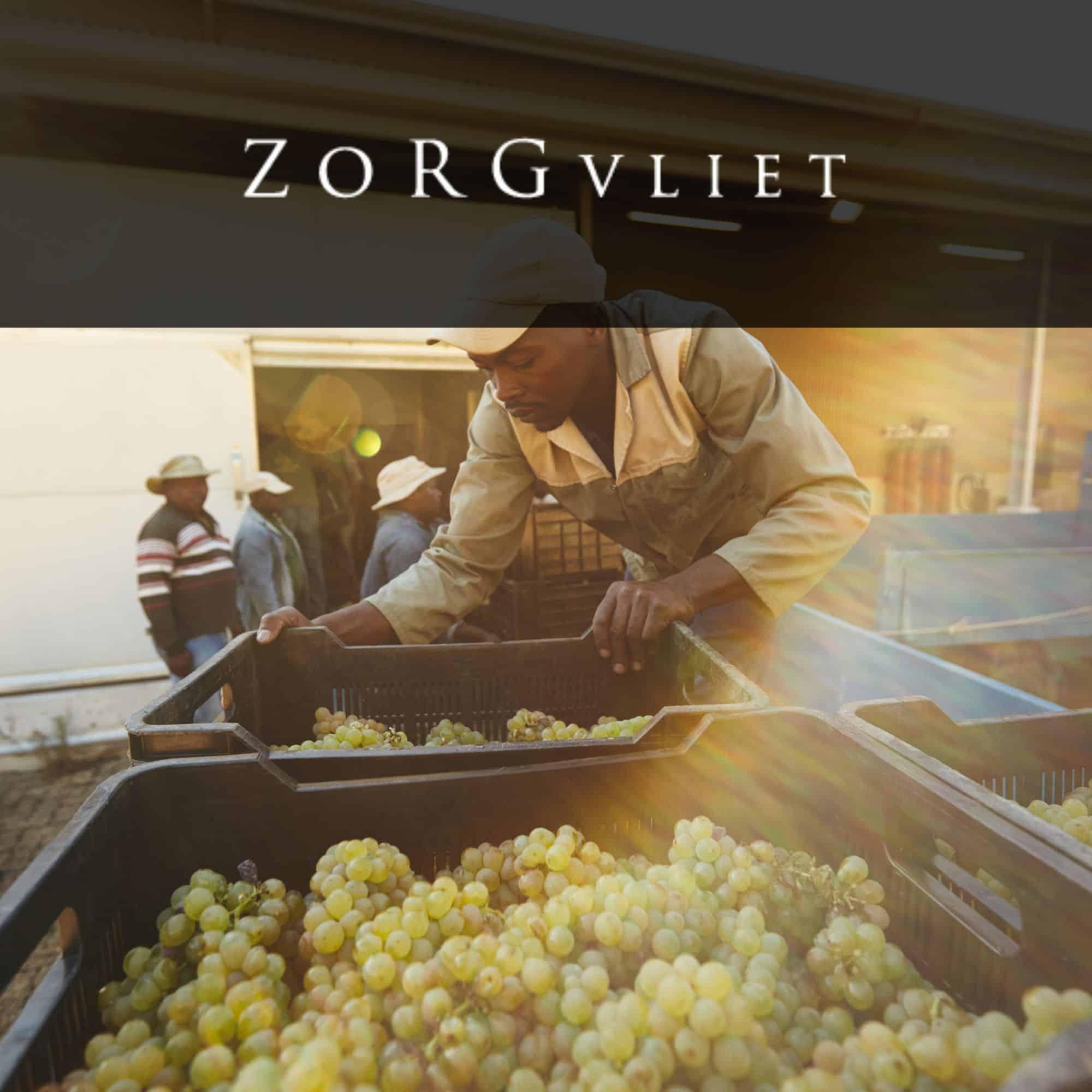 Zorgvliet Wine Estate