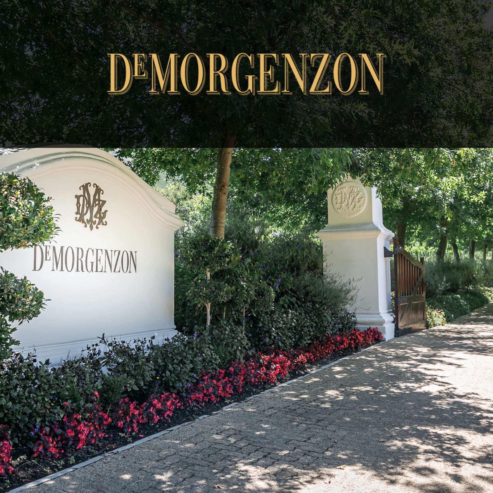 DeMorgenzon