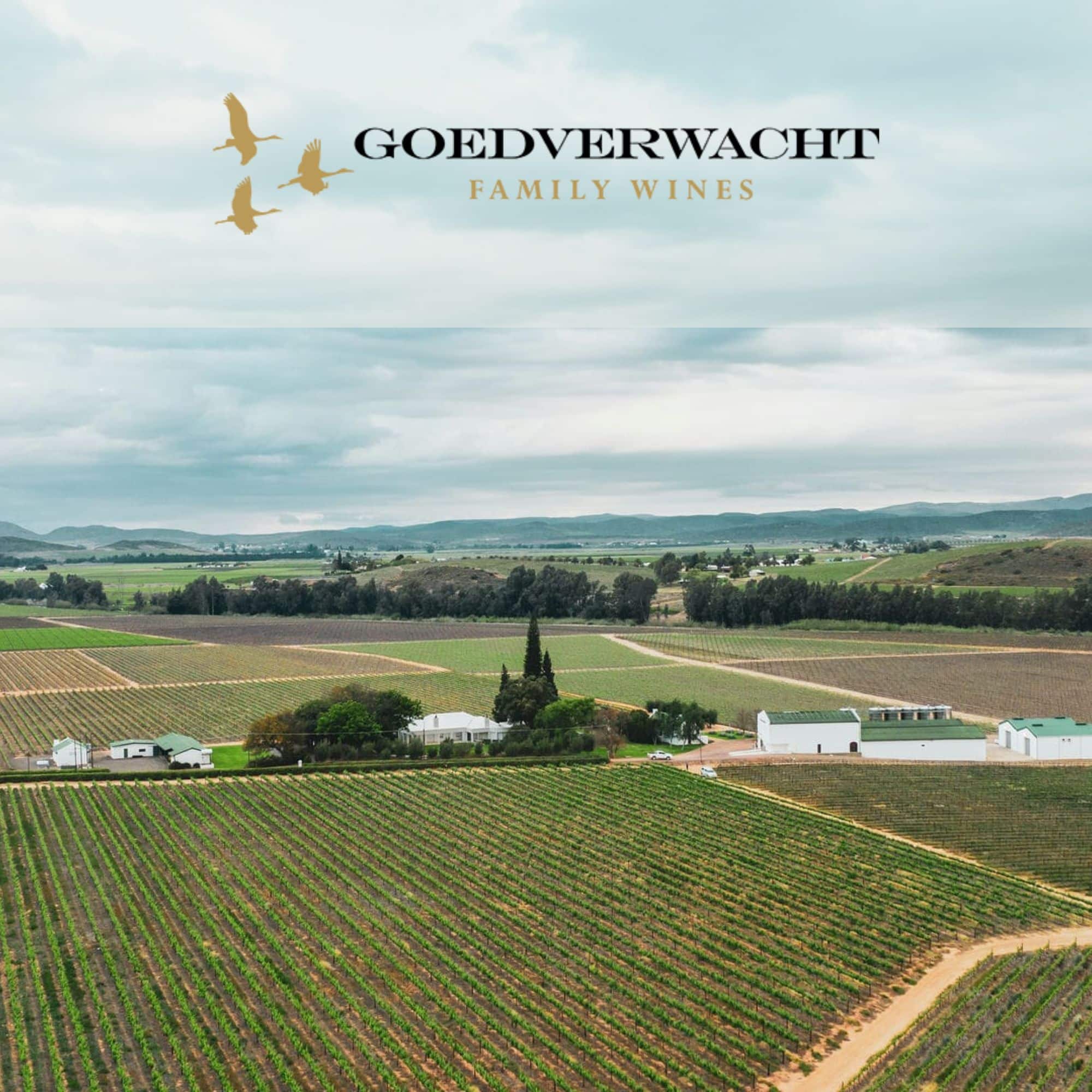 Goedverwacht Family Wines