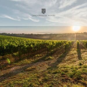 Langverwacht Wines