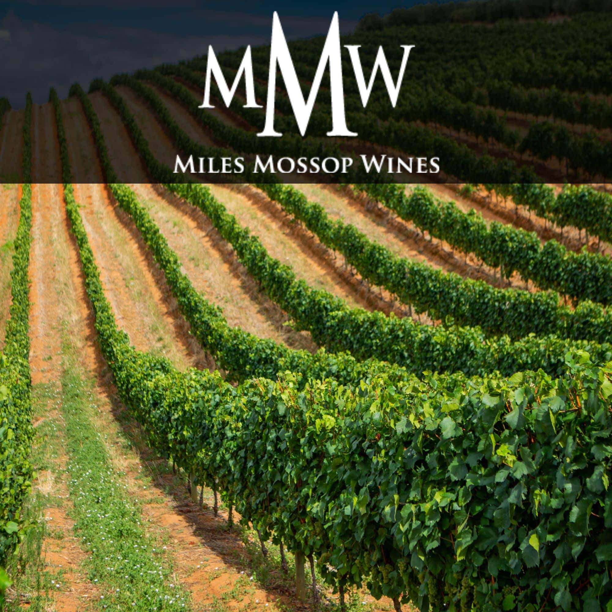Miles Mossop Wines