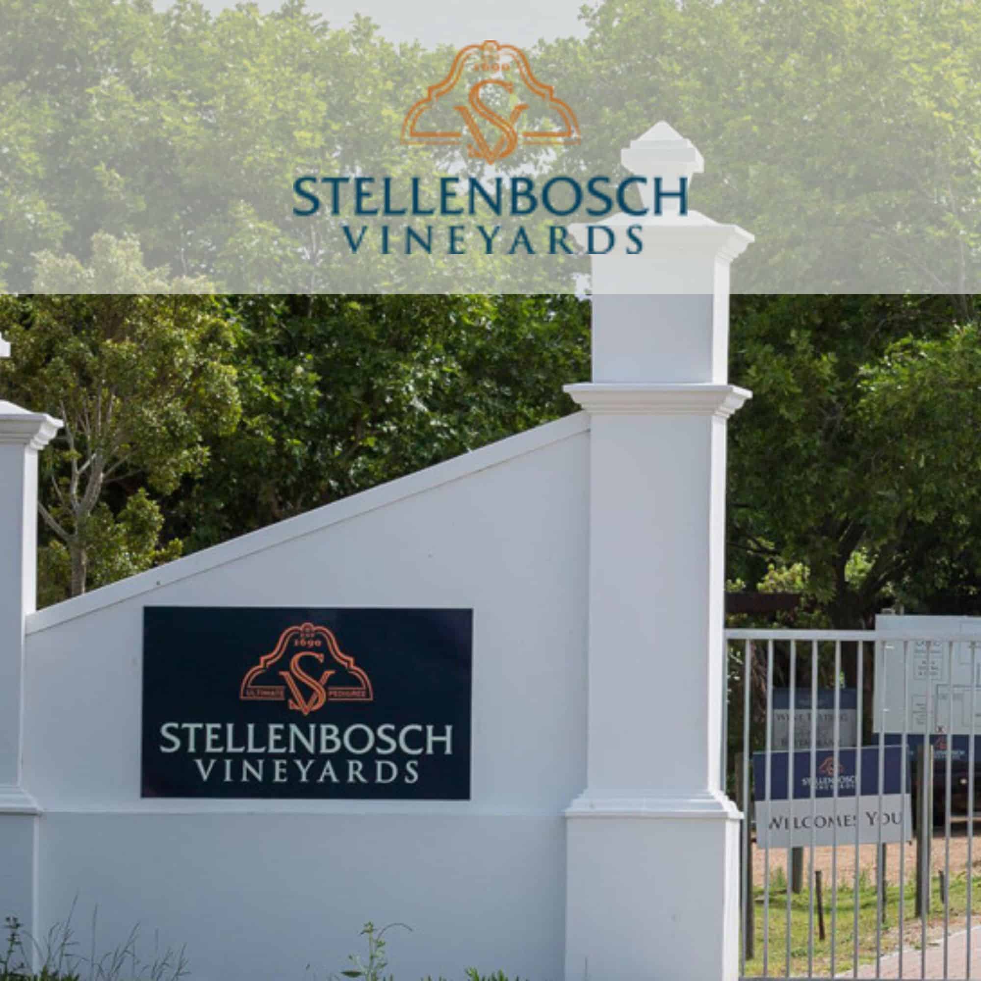 Stellenbosch Vineyards