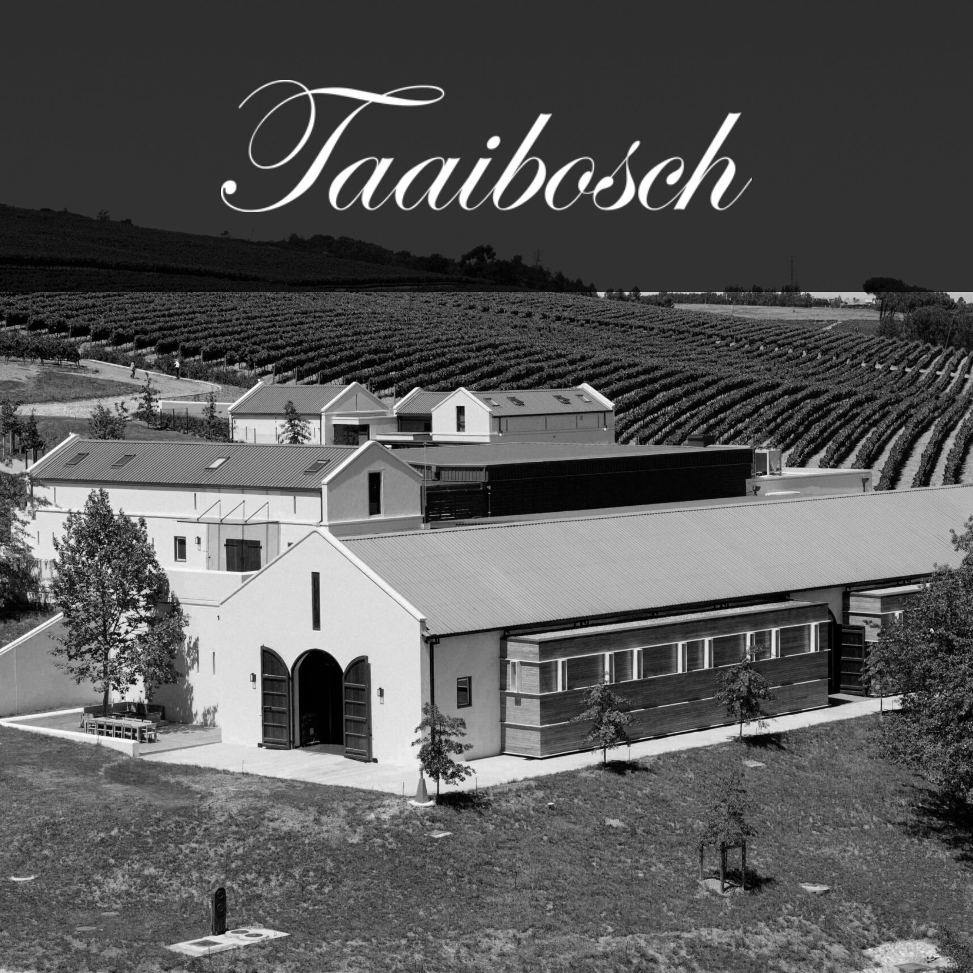 Taaibosch Wines