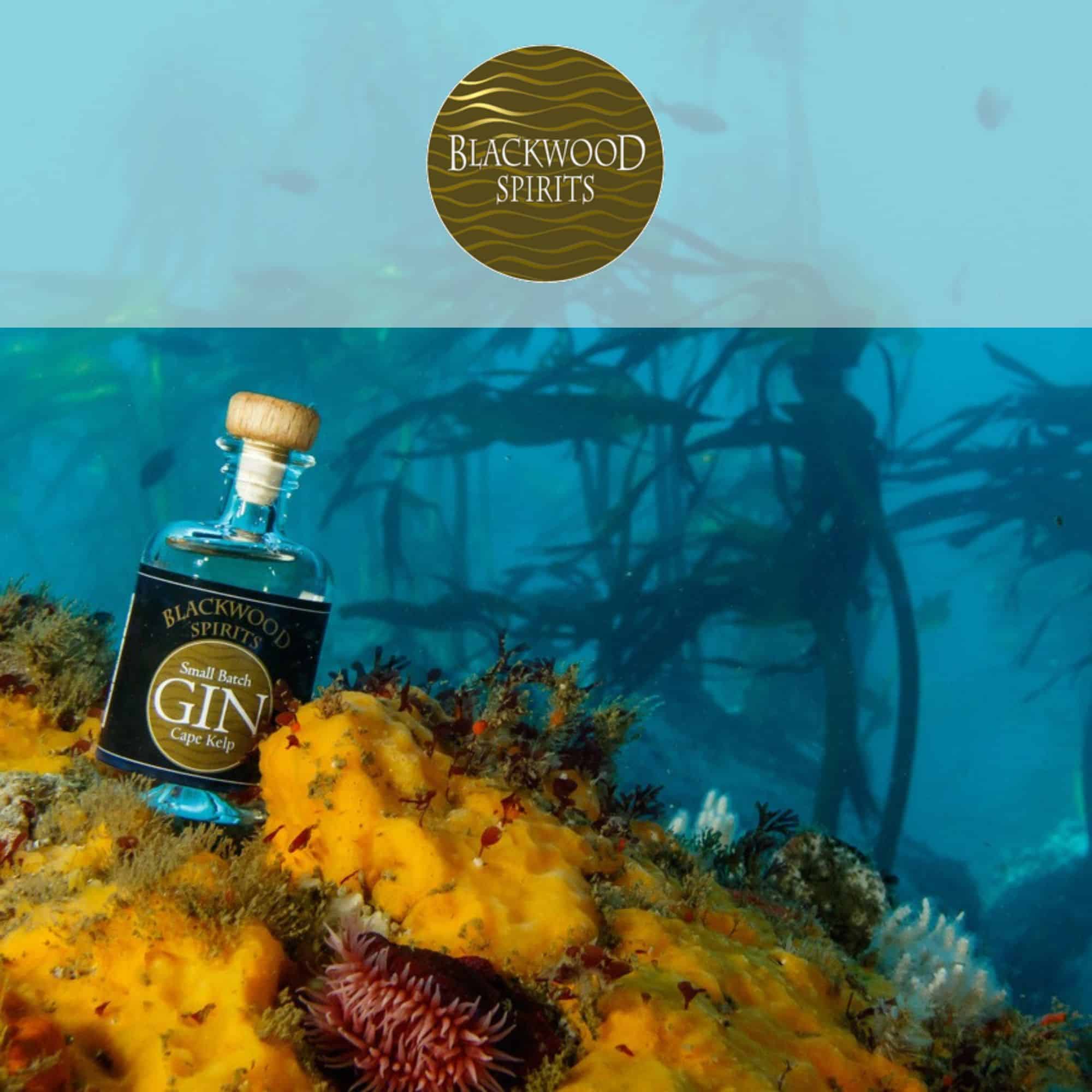 Blackwood Spirits Gin