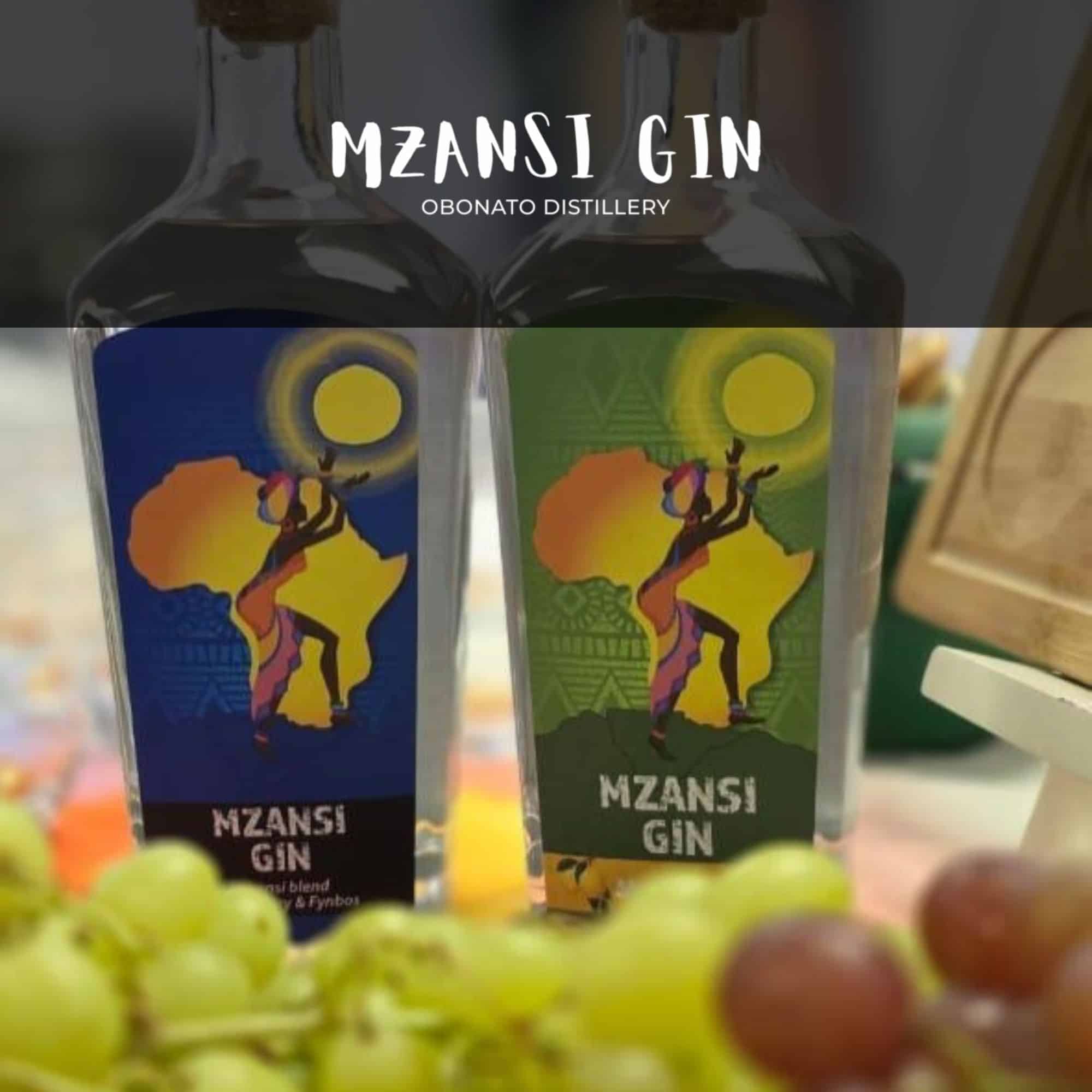 Mzansi Gin