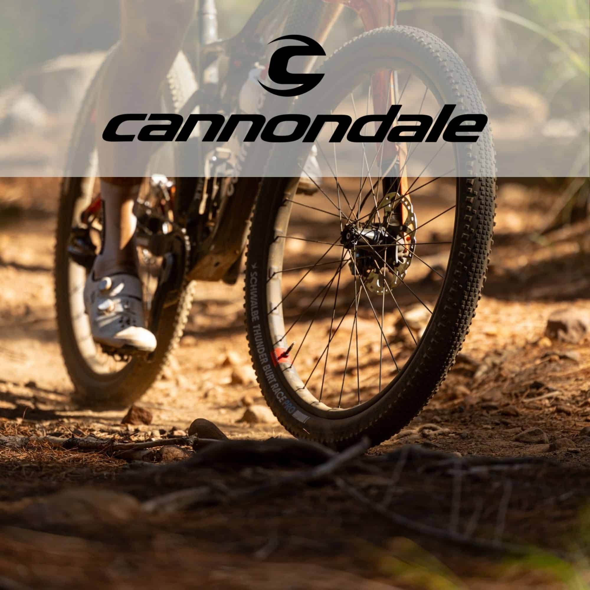 Cannondale Rims