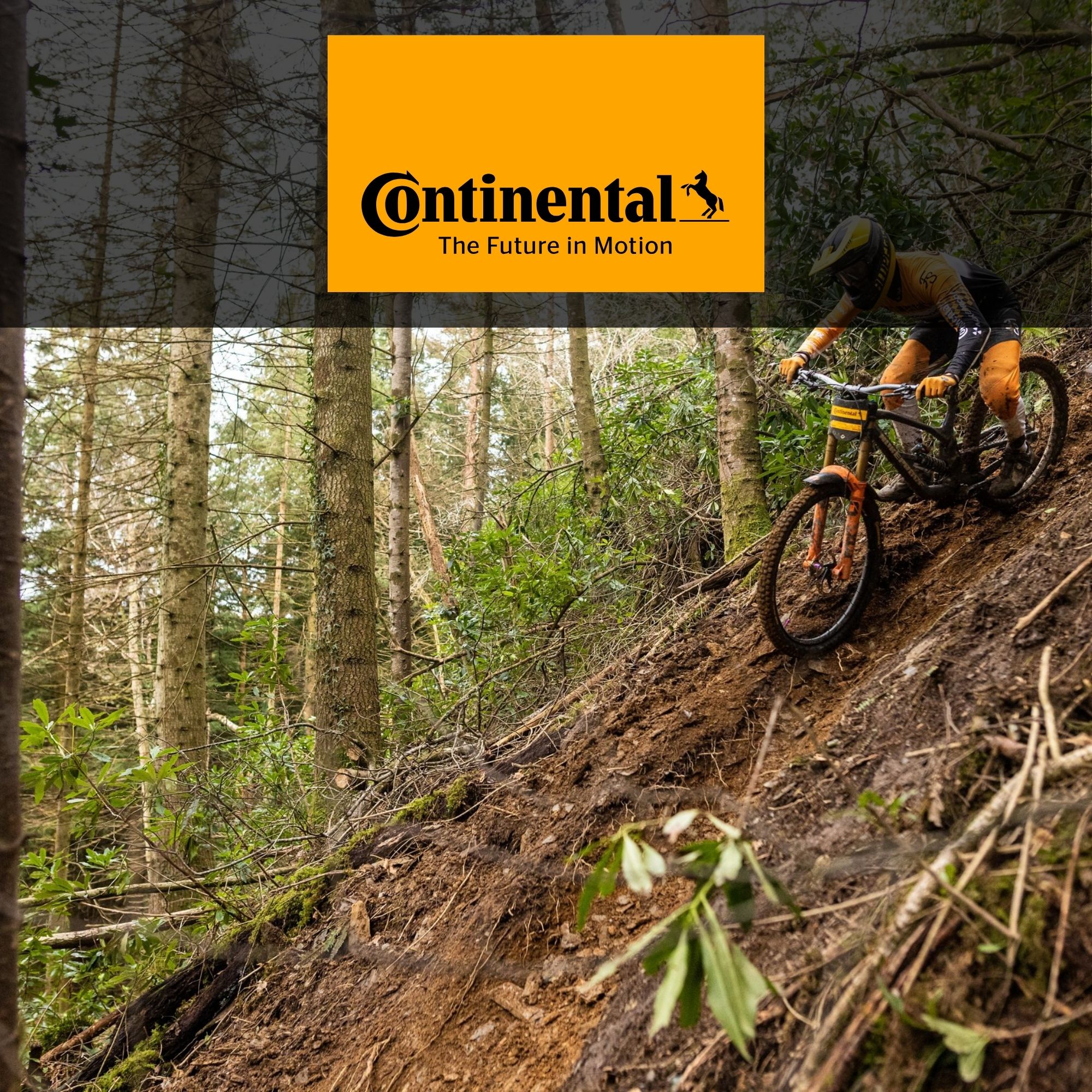 Continental Bicycle Tyres