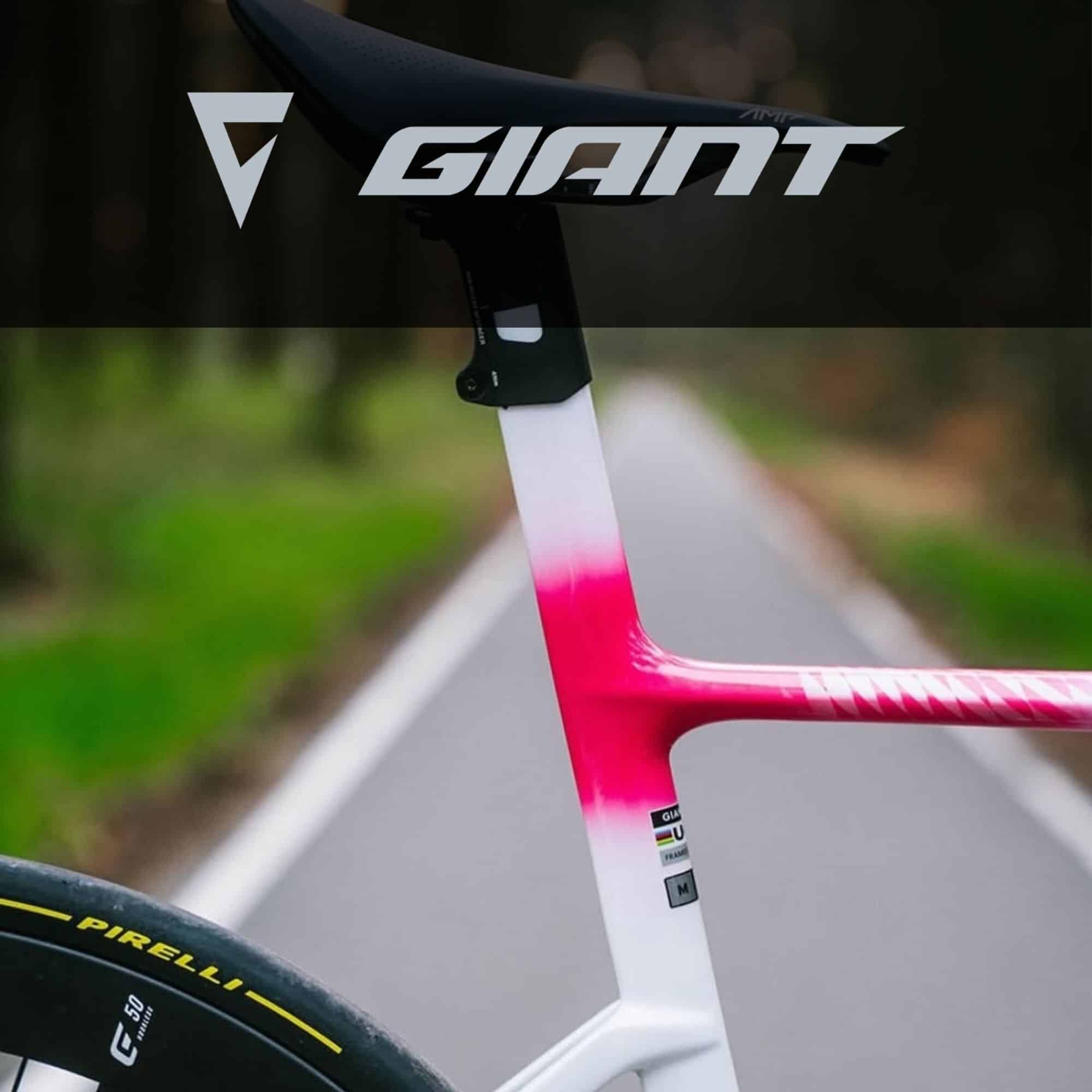Giant Seatposts