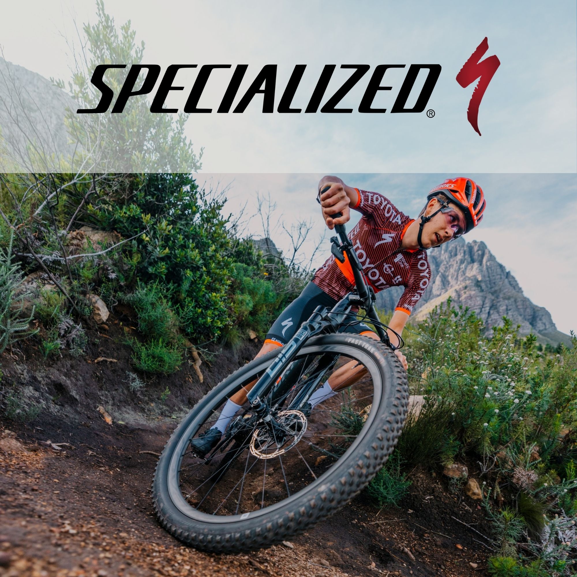 Specialized Bike Tyres