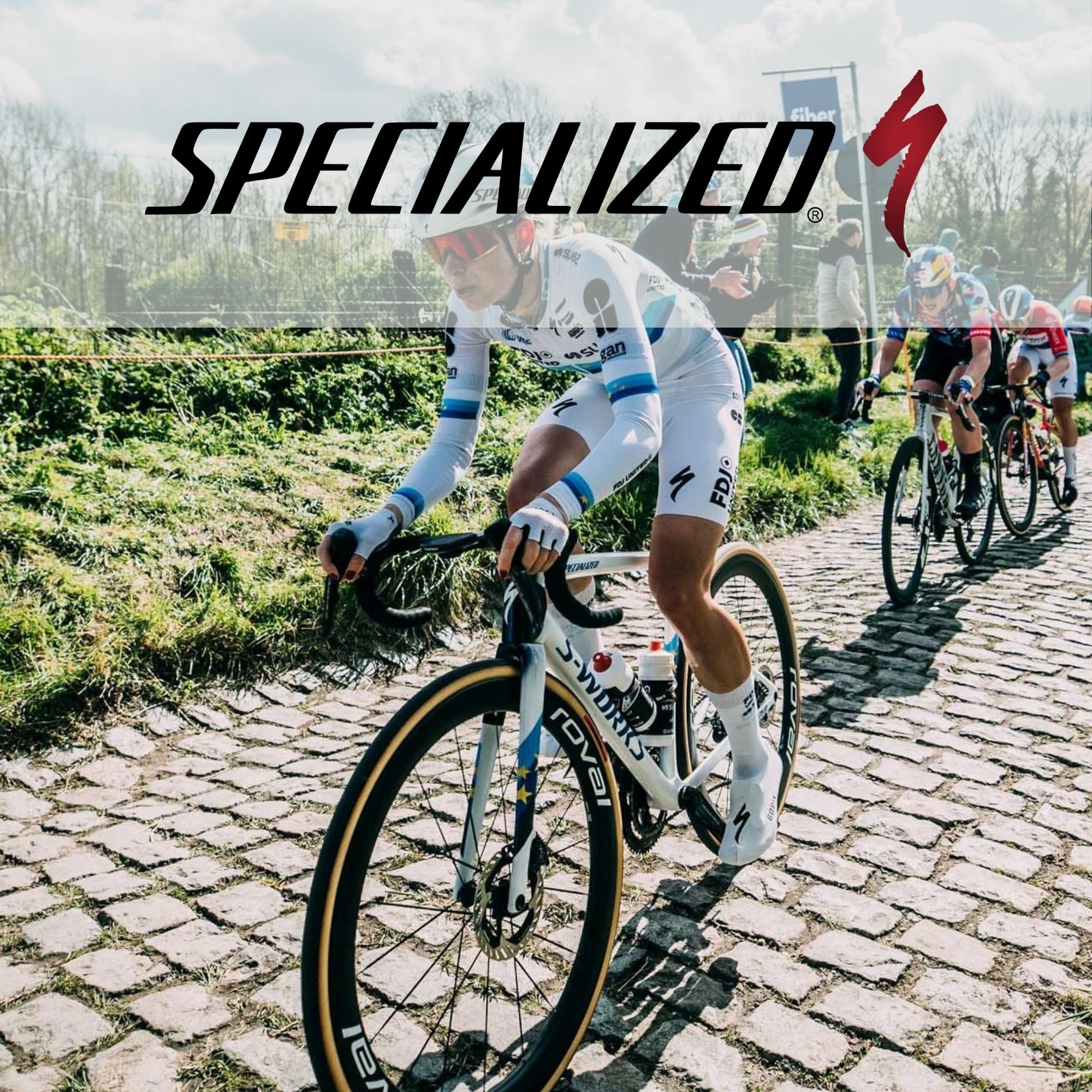 Specialized Road Bikes