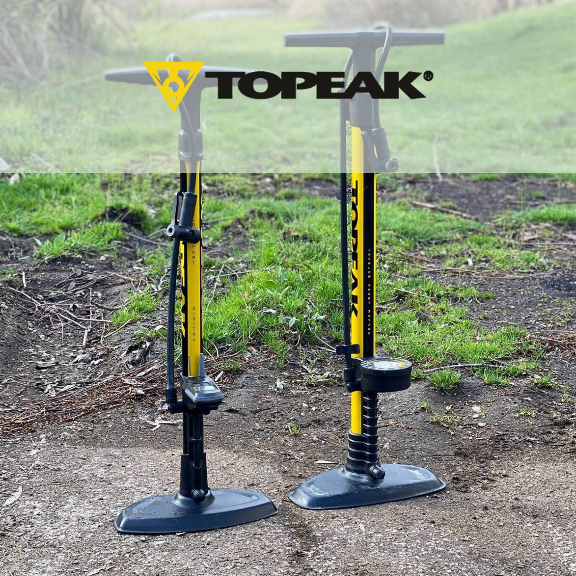 Topeak Pumps