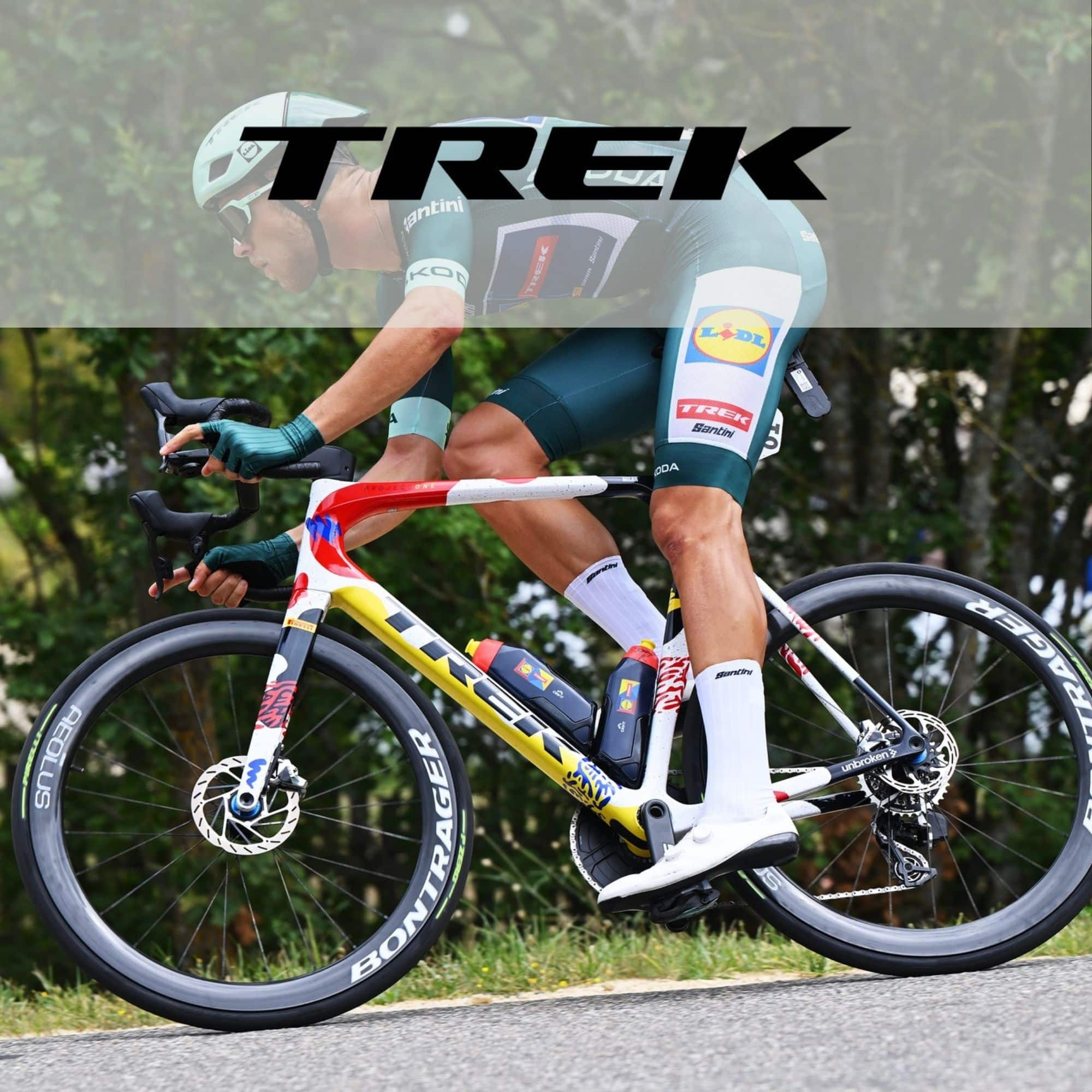 Trek Road Bikes