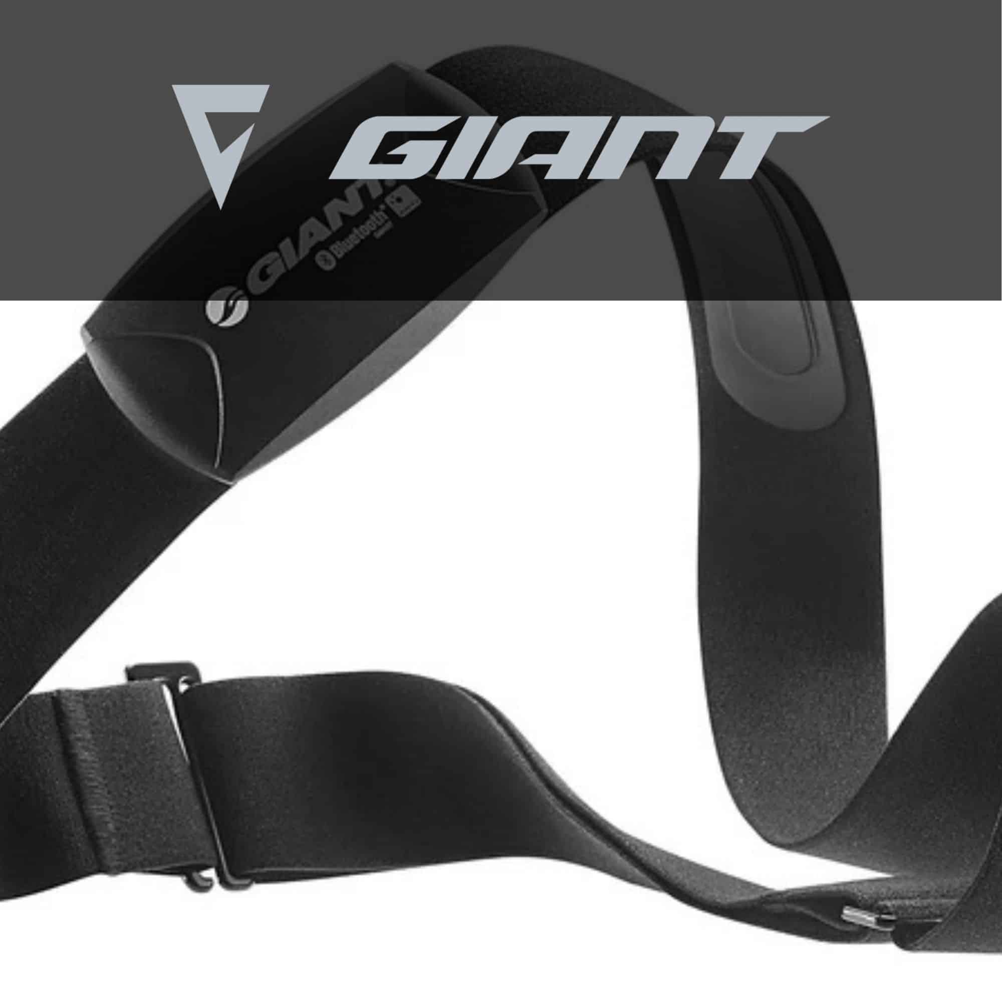 Giant Heart Rate Monitors