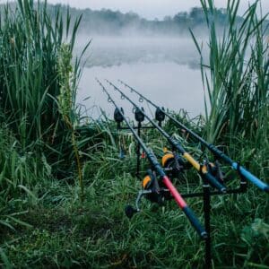 Rods