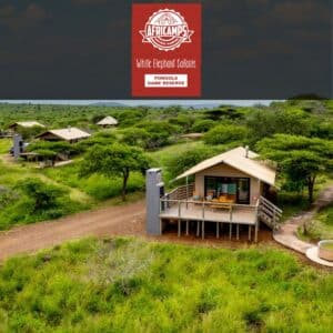 AfriCamps at White Elephant Safaris