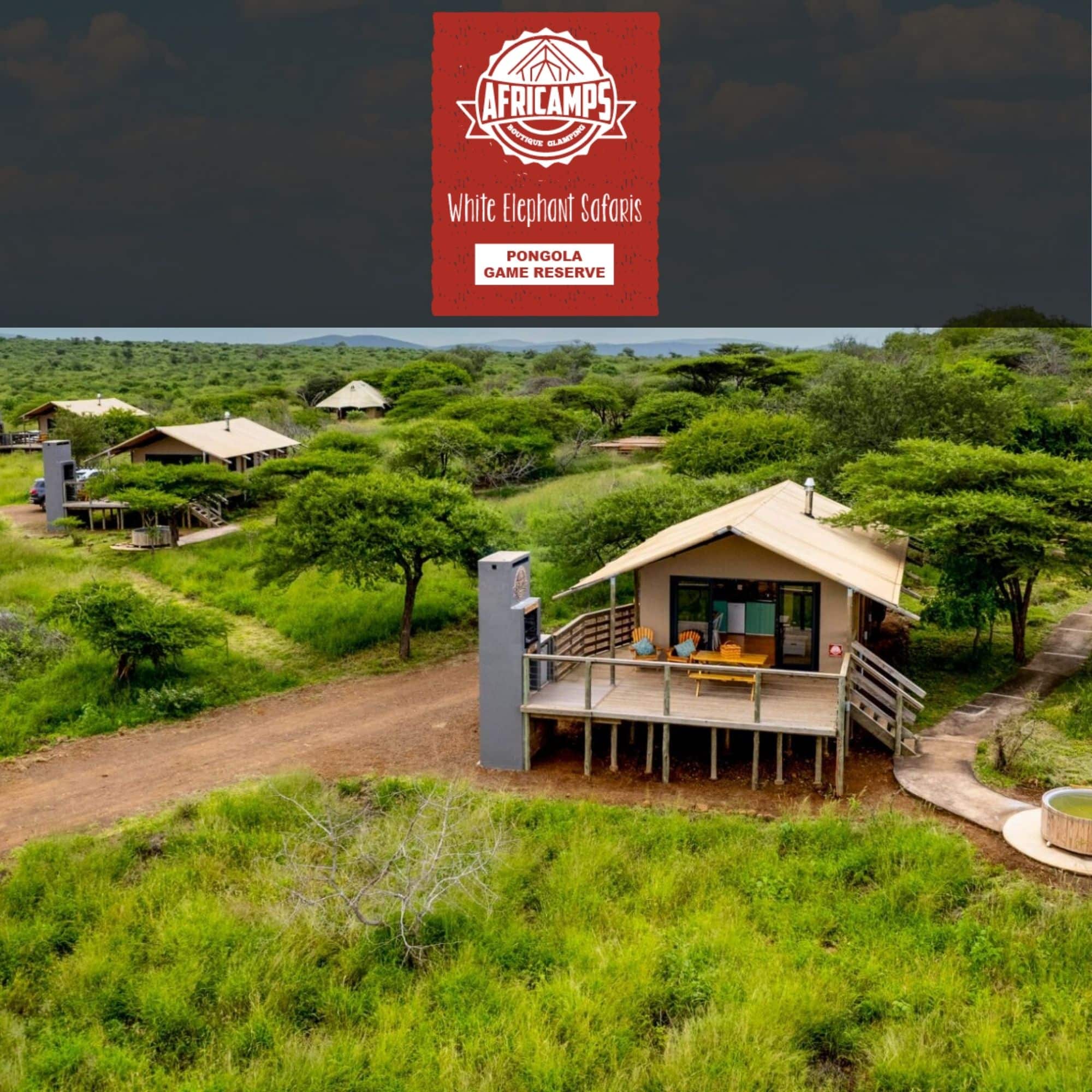AfriCamps at White Elephant Safaris