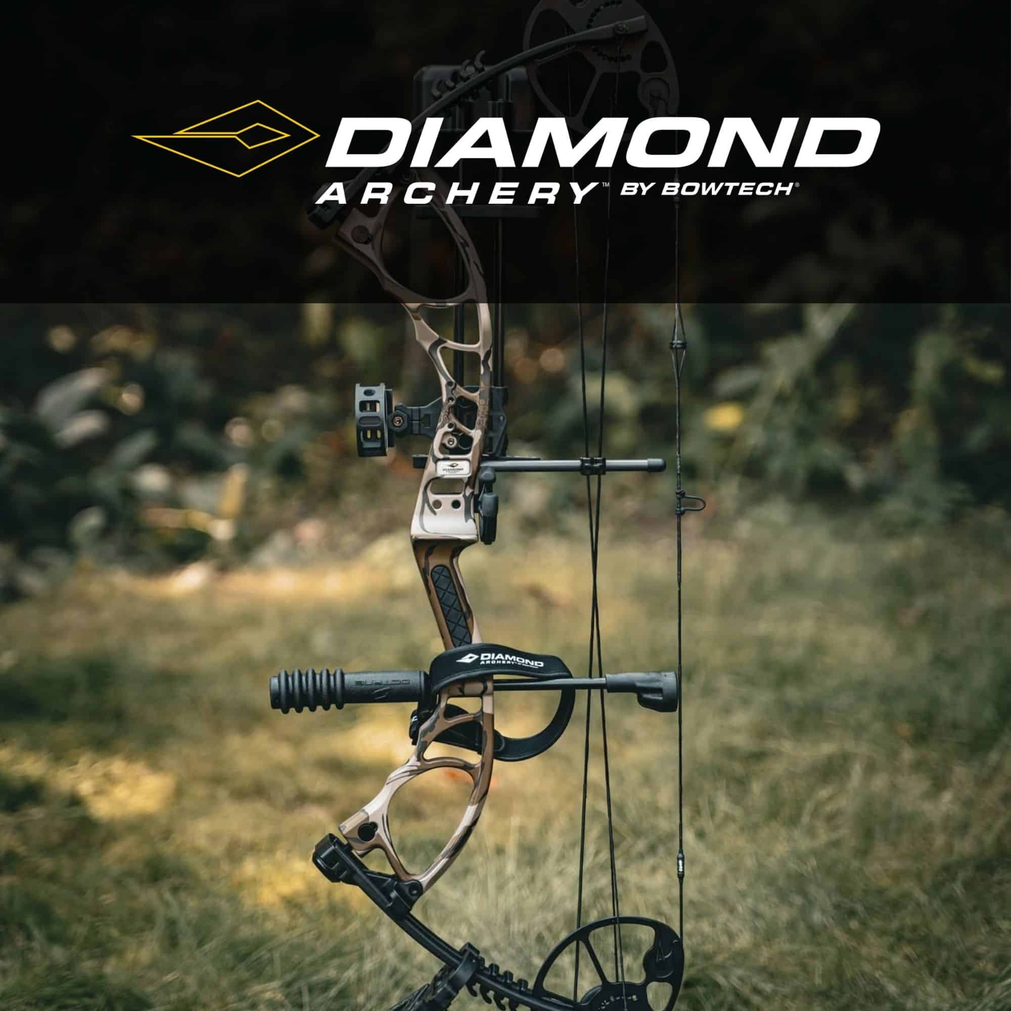 Diamond Bows