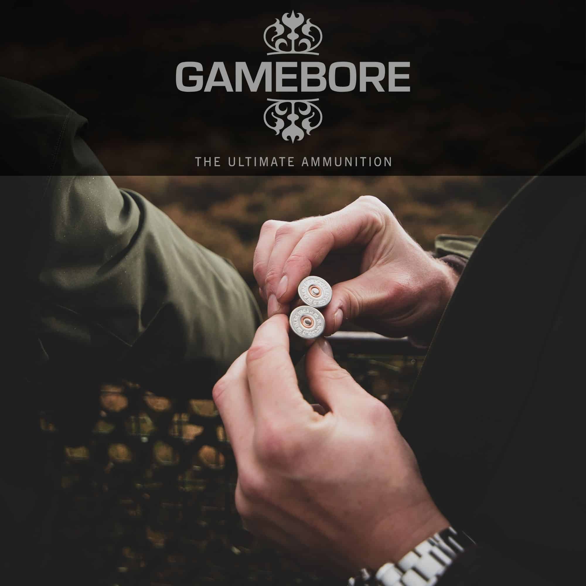 GAMEBORE Ammo