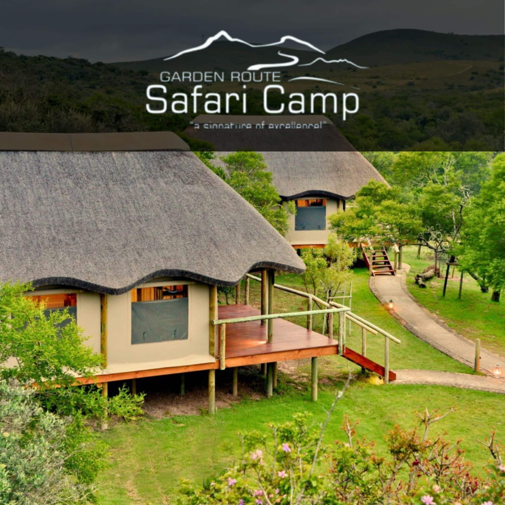 Garden Route Safari Camp