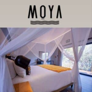 Moya Safari Villa Glamping