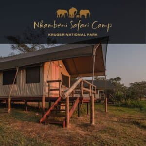 Nkambeni Safari Camp