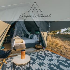 Kruger Untamed – Satara Plains Camp