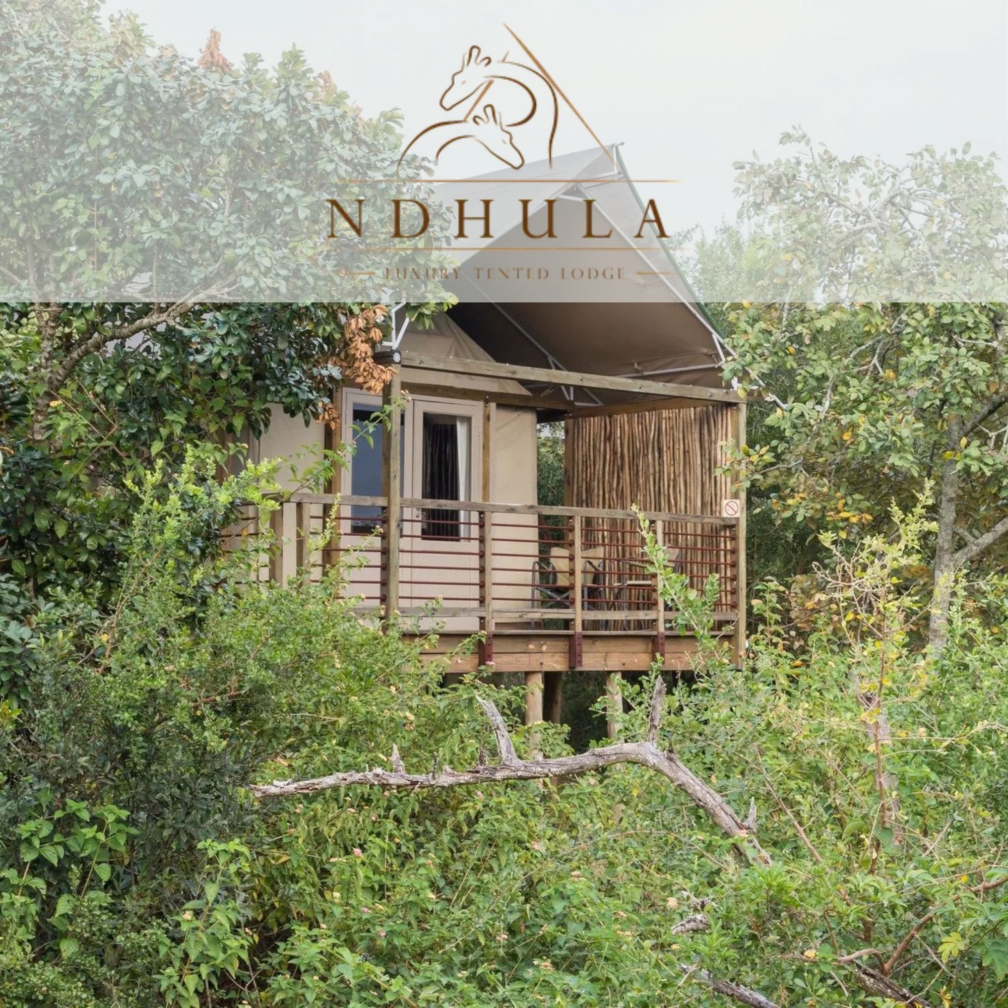 Ndhula Luxury Tented Lodge