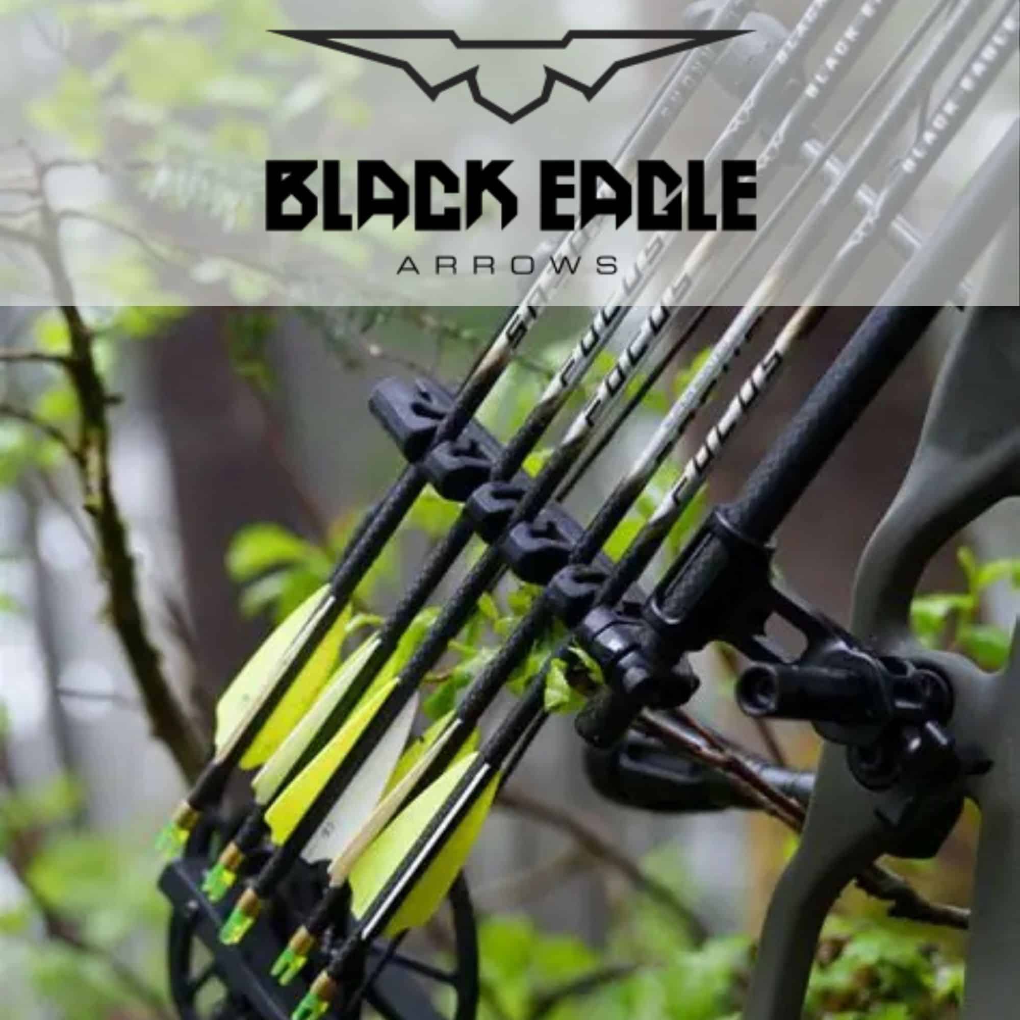 Black Eagle Arrows