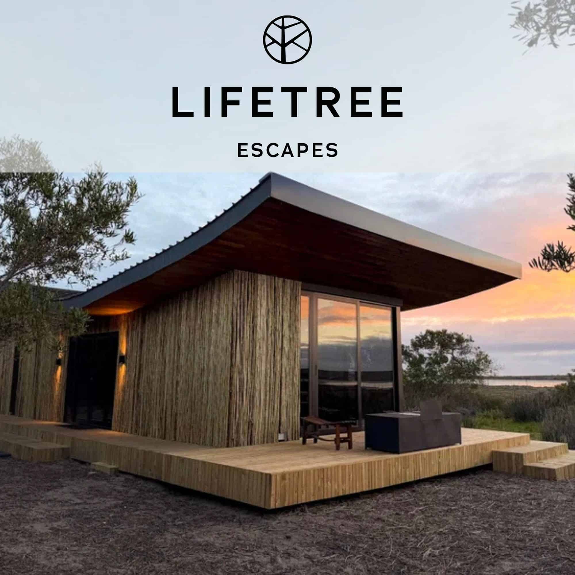 Safari Pod One
