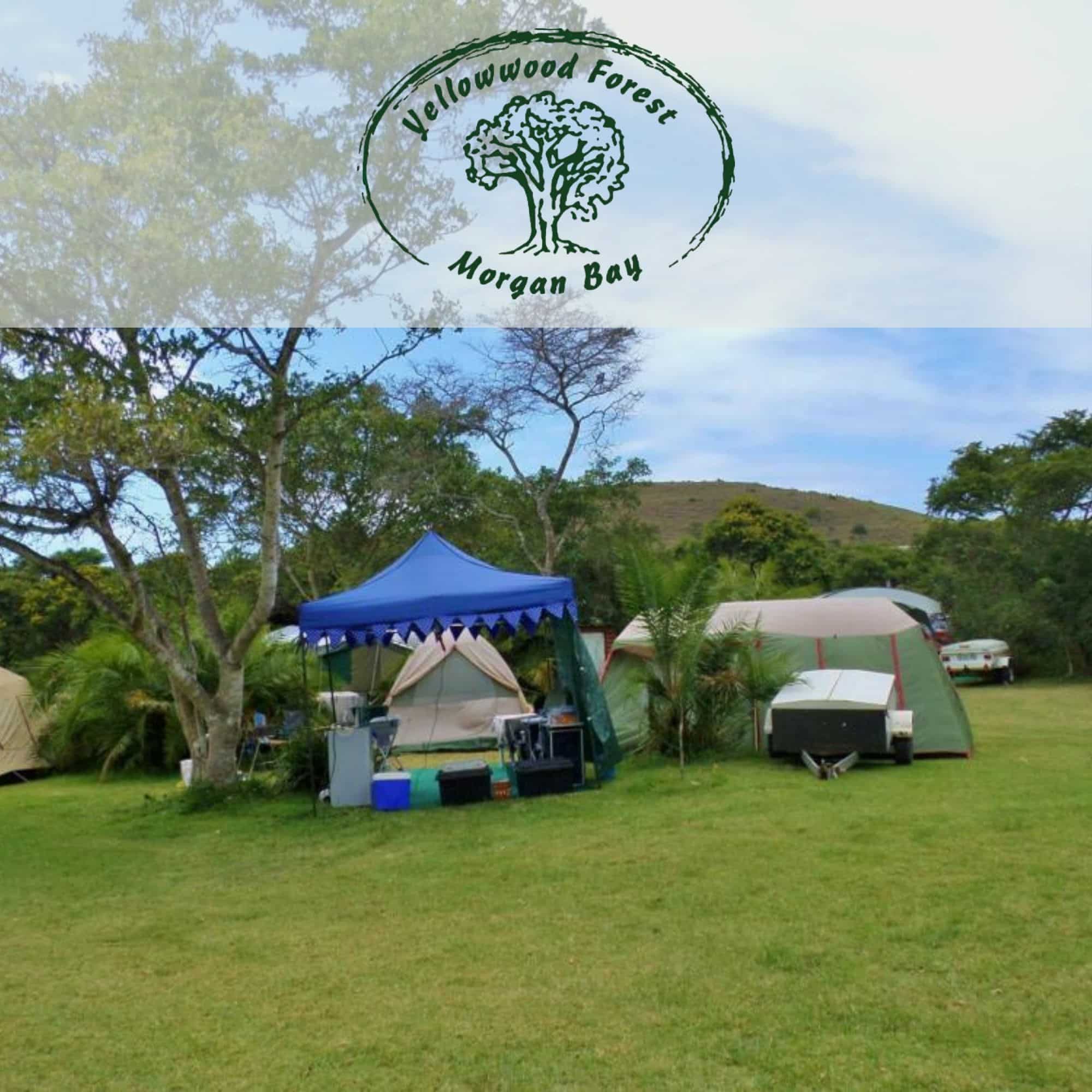 Yellowwood Forest Campsite