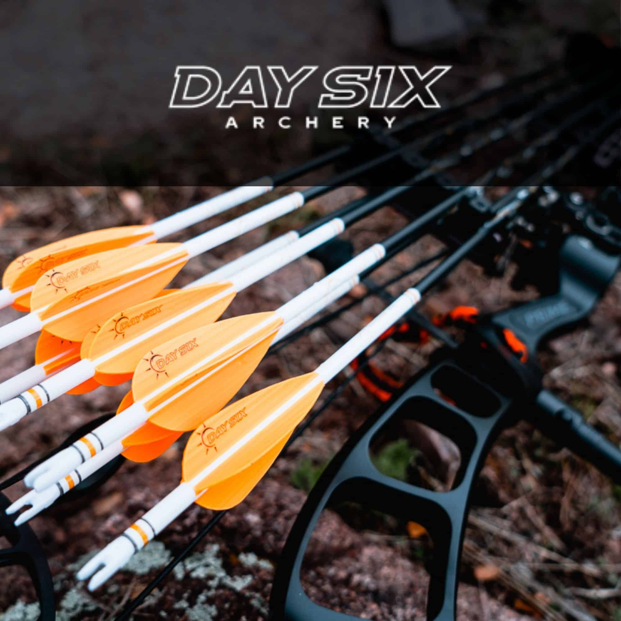 Day Six Arrows