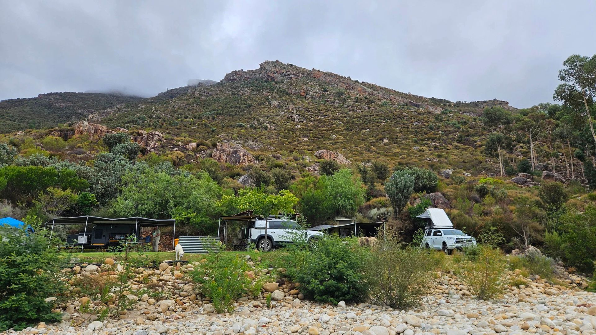 Western Cape