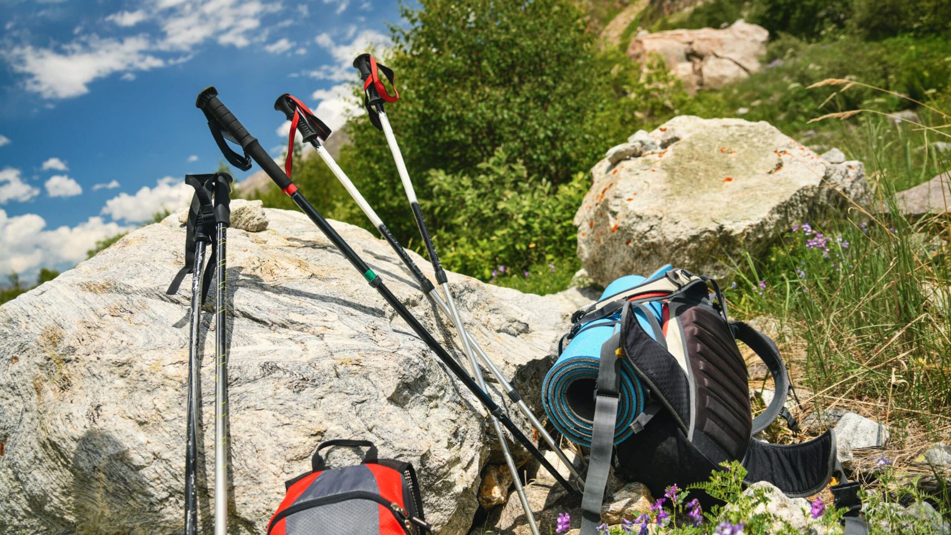 Camping & Hiking Gear
