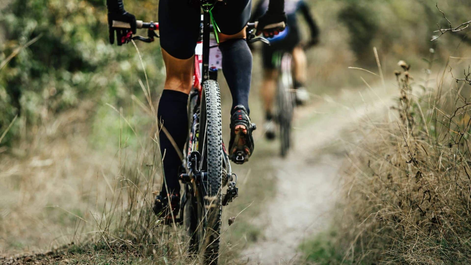 Trail Mountain Bikes