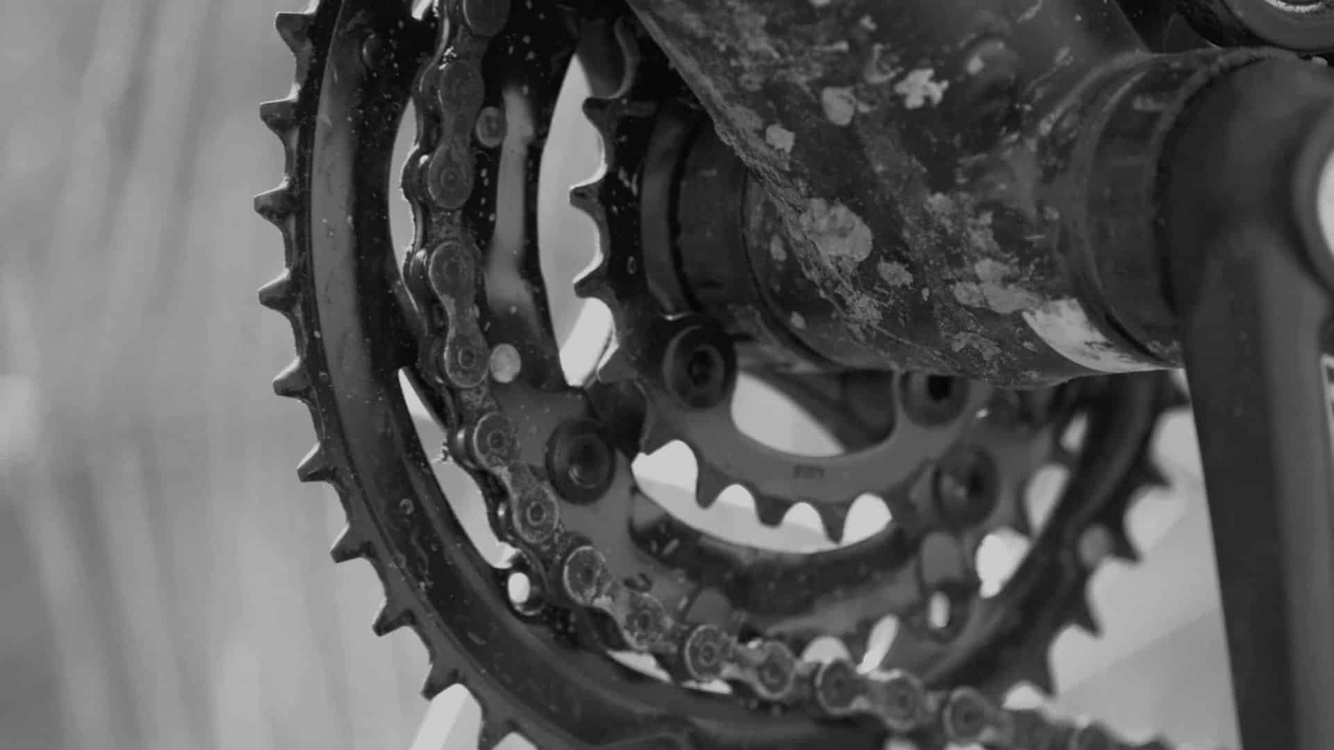 Bicycle Cranks
